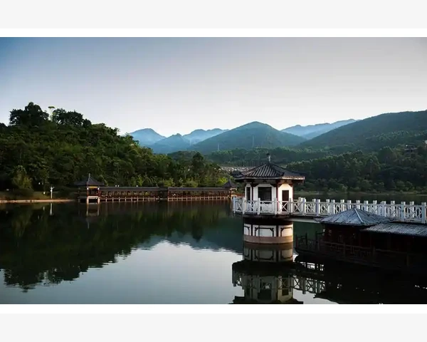 中医养生：如何通过中药去除体内湿气？