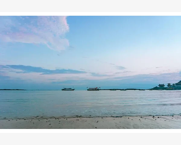 健脾胃和消肺热哪个更好